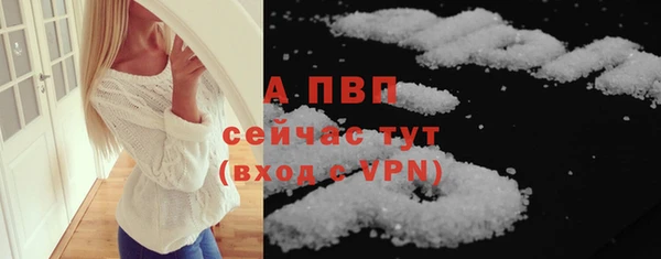 ешки Богданович