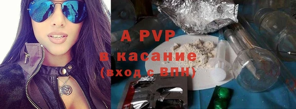 ешки Богданович